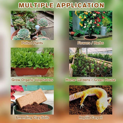 🔥LAST DAY 49% OFF🌱Premium Organic Coconut Coir Bricks for Plants🌱