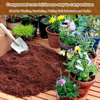 🔥LAST DAY 49% OFF🌱Premium Organic Coconut Coir Bricks for Plants🌱