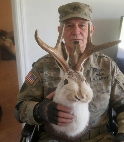 Jackalope Wall Decor-Handmade decorative art