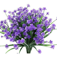 Blue Narcissus