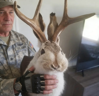 Jackalope Wall Decor-Handmade decorative art