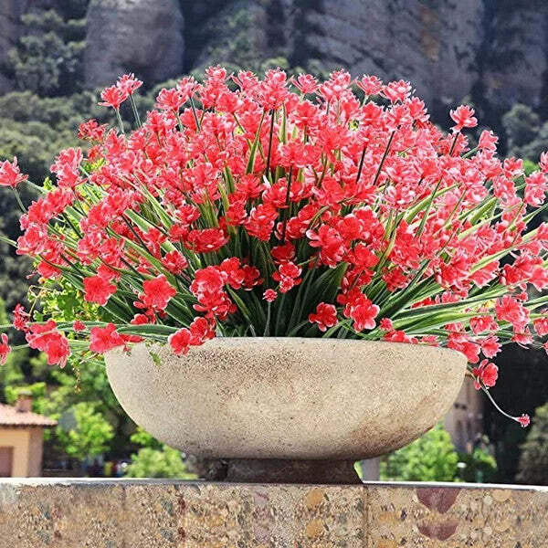 Nature-Inspired Wonder