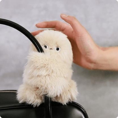 A Charm Robot that Steals a Glance—and Your Heart