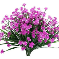 Purple Narcissus