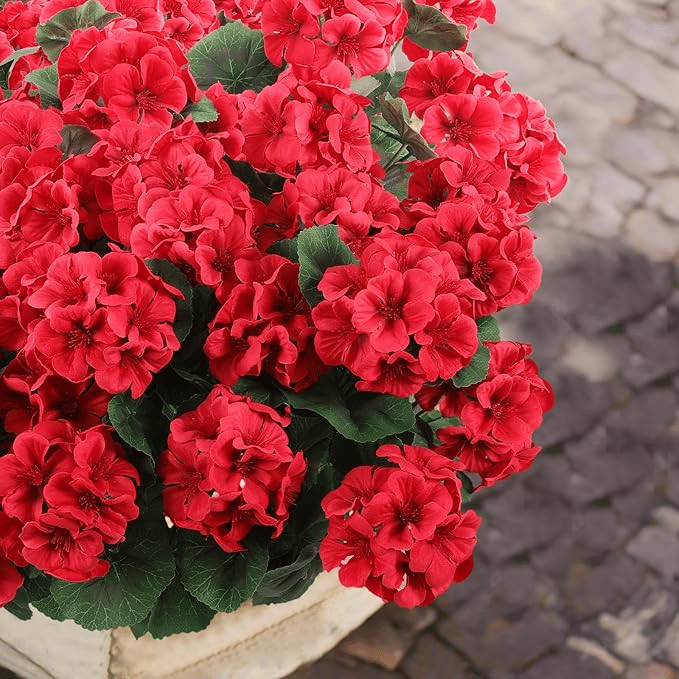 🔥Last Day 49% OFF--💐 UV Resistant Lifelike Artificial Geranium Flowers 💖