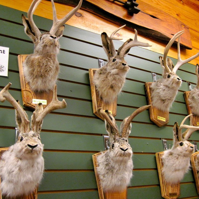 Jackalope Wall Decor-Handmade decorative art