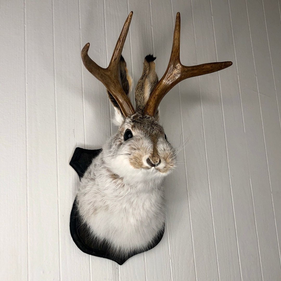 Jackalope Wall Decor-Handmade decorative art
