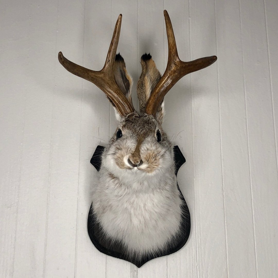 Jackalope Wall Decor-Handmade decorative art