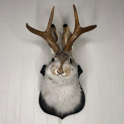 Jackalope Wall Decor-Handmade decorative art
